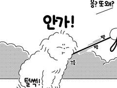 60. 집이 걱정돼!