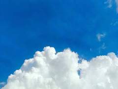 츠키다테 카츠지로 | 17 | XY