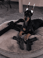 영한 팝송 번역