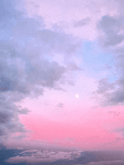 파엠 풍화설월 잡글