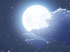 [렌탄] 달에 비친 별을 그리다