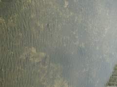 다섯 번 그리고 일곱 번 모인 일에 대해