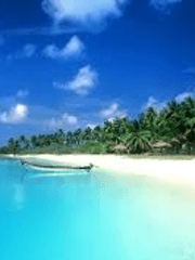 [원소조조] 아일랜드