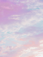 수이웃&초세여&그 외 뜰팁글