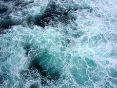 [드림] 면죄된 약속