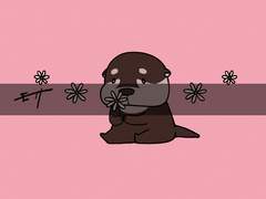 SD, 동물화 모음