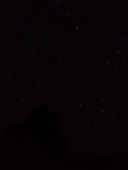 차마 이름조차 붙이지 못한 그 이야기