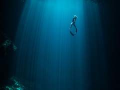 우울증 쿨타임은 1년