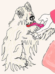 연재를 쉴 때 올리는 그림들