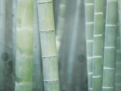 [이종아/21/체술]