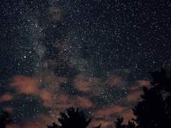 #파파커 프로필