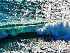 [주술 게토 드림] 진주-(외)