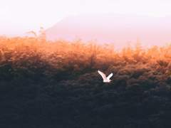 나에게서 당신에게