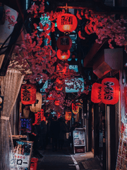 [도리벤/드림주] 시공을 달리는 소녀의 역하렘월드