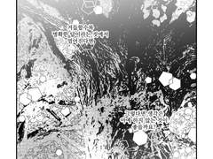 새벽, 밀물, 썰물,