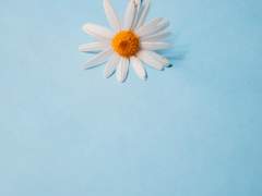 쉬어가기로 했습니다 27