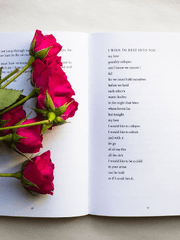 비망록 3장:나는 오래된 시집처럼 당신을 꺼내어 본다