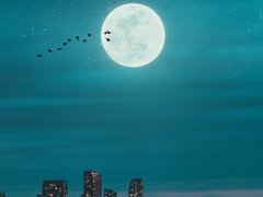 [아츠른] 아기호랑이 육아일기 Ep. 04