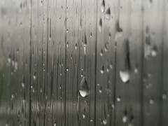 [슈짐] 미필적 고의