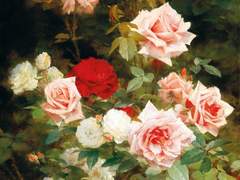 [죠나디오] 관계의 파수꾼