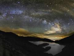 날지 못 하는 백조