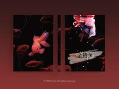 [분양가능] 10. 금붕어