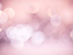 낙화유수(落花流水) (상)