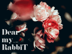 [DX3 팬 시나리오] Dear my RabbiT