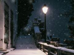 변하지 않는 것