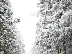 닿을 듯, 닿지 못하는 너에게