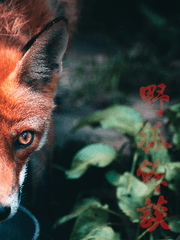 야호여담 野狐餘談