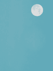 다시 보고 싶은 그대