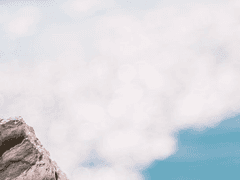 그것이 구원이었다면.