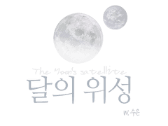 [큰세문대] 달의 위성