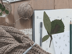 각자가 받은 몫,