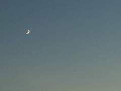 없던 꿈들이 여러 모양으로 잔뜩 즐비했다