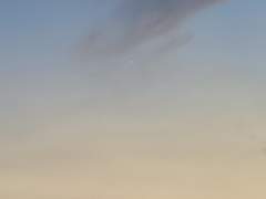 거듭되는 모순이었다