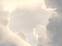 남의 집 아틀란티스에게.