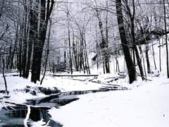 이건 아주 오래된 이야기란다