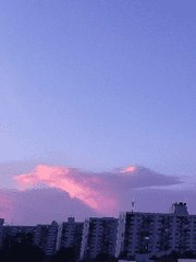 2021 | 솔직하게 나는