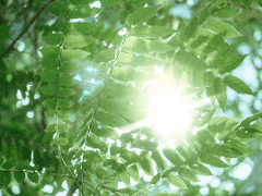 적적 글 커미션