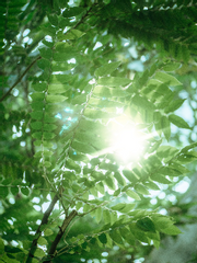 일반 타입 커미션