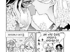 요거라일 모음 4