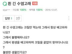 黒 | XY | 32 | 蜃(shin)