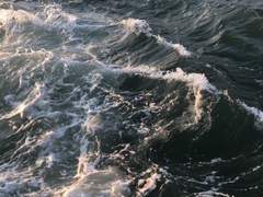 자각몽(自覺夢)