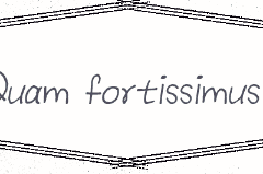 Моему храброму льву.