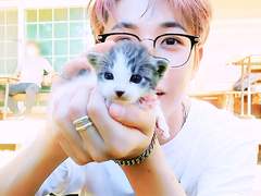 캠퍼스 고양이 - 03