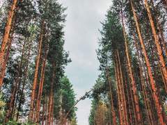 사춘기 긴타카 썰