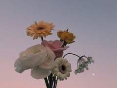 [ 히나른/흑쇼요 ] 걱정 고마워요