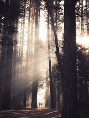 백작가의 망나니가 되었다 단편 모음집